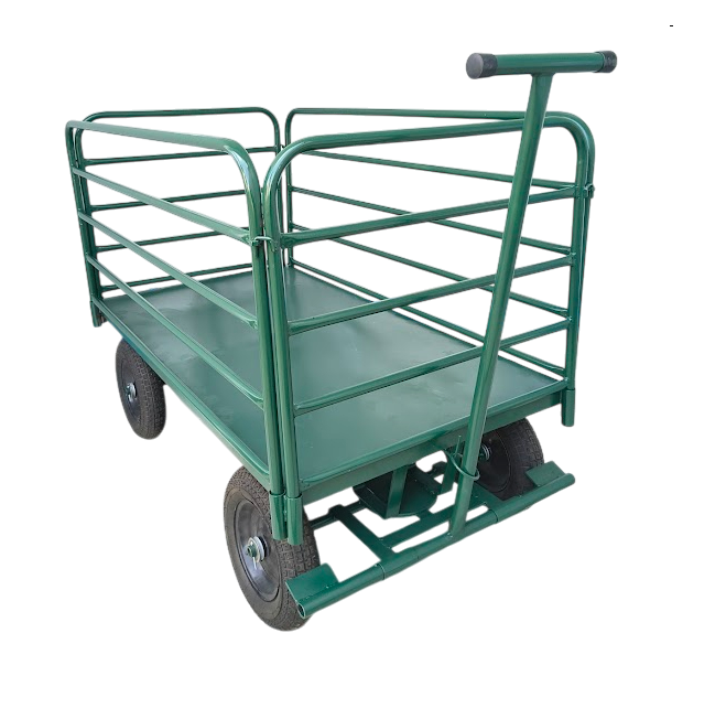 IMG_20251203_072944205